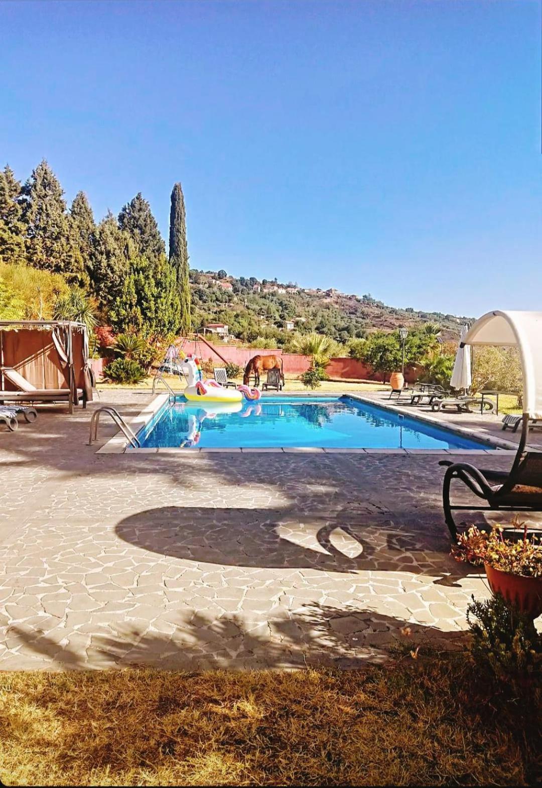 Villa Alessio - Case Vacanza Con Piscina Sull'Etna Puntalazzo Exterior foto
